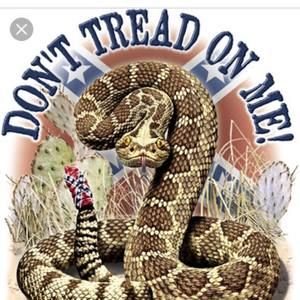 Meet your Posher, Jared